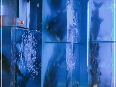 -韩妹鱼庄·泸定老字号(泸定店)