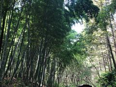 -同里国家湿地公园
