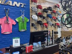 -GIANT捷安特自行车专卖店(金桥台儿庄路店)