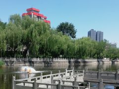 -文瀛公园
