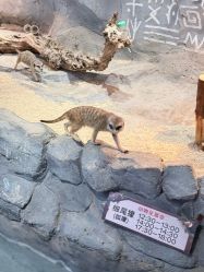 -Zoolung Zoolung动物主题公园(海信广场店)