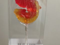 -阿五黄河大鲤鱼(英协路店)