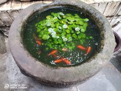-正南齐北·老街糯米团(洪崖洞店)