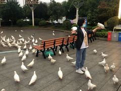 -南昌之星游乐场