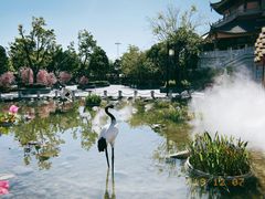 -厦门方特梦幻王国