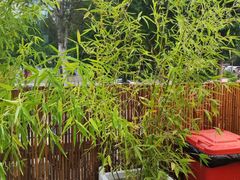 -羊门客在·烤盐池滩羊·川菜