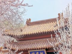 -桃花堤公园