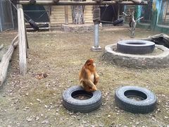-西安秦岭野生动物园