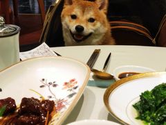 -蝶园·装修中(BFC外滩金融中心店)