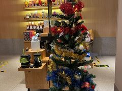 -星巴克(北京中关村北京国际店)