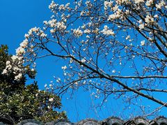 -杭州植物园