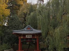 -钓鱼台国宾馆
