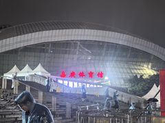 -嘉庚体育馆
