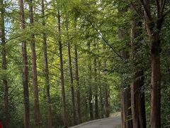 -九华秋浦胜境大王洞风景区