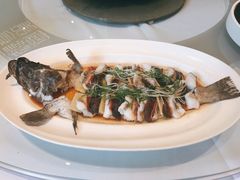 -富淳饭店(陆家嘴保利广场店)