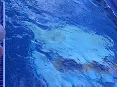 -小伢儿水中体适能俱乐部(中泰店)