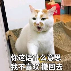 点击看大图 -3AM HAIR SALON染发接发