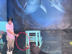 -苏州海洋馆