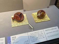 -东京国立博物馆