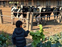 -上海怡沁园度假酒店