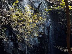 -藏龙百瀑风景区