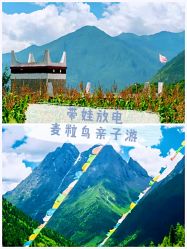 -麦粒鸟亲子游