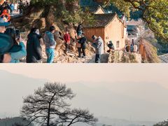 -杨家堂村