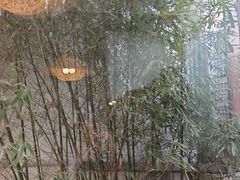 -慢丽江·云南野生菌土鸡锅(西山店)