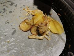-一家东北烤肉(华大店)