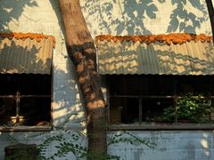 -斯多格书乡(北京大学畅春园店)