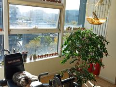 -炼呗运动康复·健身工作室(紫竹桥店)