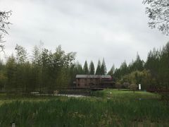 -黄海国家森林公园