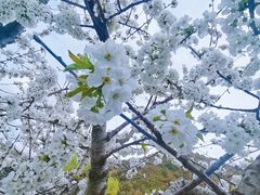 -麦积山温泉
