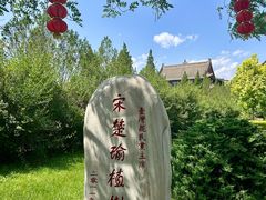 -大槐树寻根祭祖园
