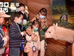 -英孚教育青少儿(南坪中心)