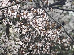 -颐景园