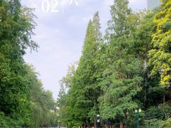 -环城公园