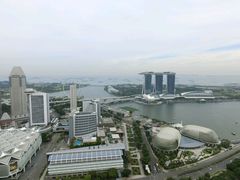 -新加坡瑞士史丹福酒店