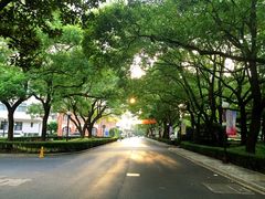 -上海交通大学医学院附属瑞金医院(总院)
