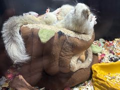 -太平洋海底世界