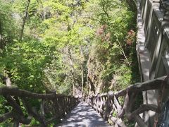 -武当山风景区
