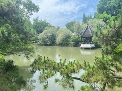 -上海醉白池公园