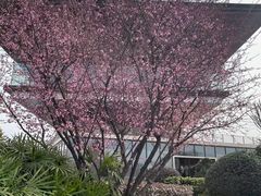 -云里小坐·海泉湾·团建·宴席·下午茶(金堂海泉湾店)
