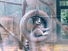 -北京海洋馆