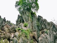 -玉石林风景区