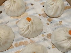 -苏小柳点心·手作小笼包(浦东嘉里城分院)