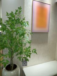 -S庆熙美学皮肤管理