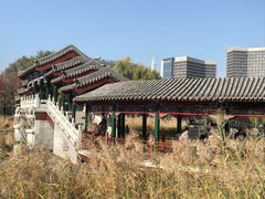 -西海子公园