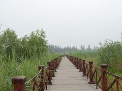 -微山湖红荷湿地景区