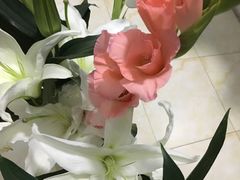 -海底捞火锅(龙湖北京大兴天街店)